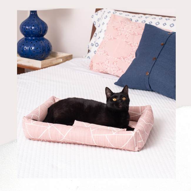 Cats (& Their People) Can’t Resist This Bolster Cat Bed. Here’s Why.