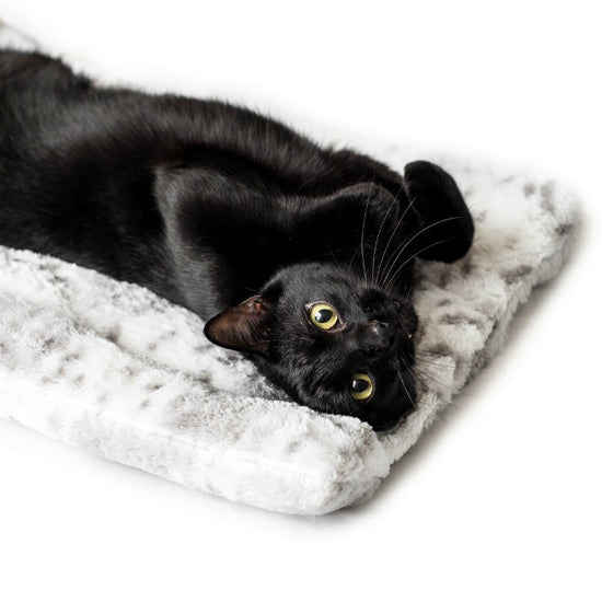 Cats Can't Resist These Snuggle-Worthy Cat Beds