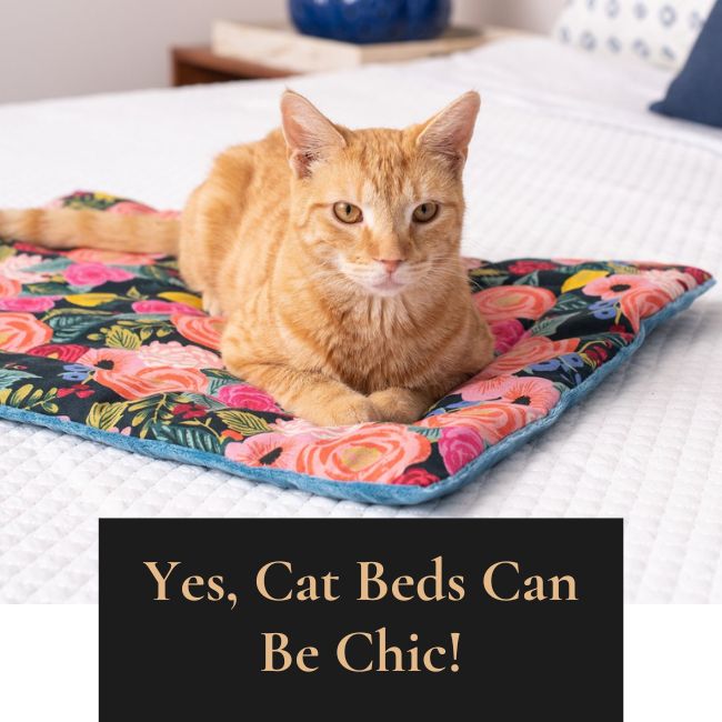 The Catnip Mat Says Yes Cat Beds Can Be Chic Washable and used by cats Janery