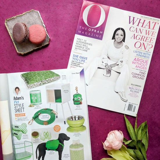 "O" My Goodness: Janery's dog bed spotted in Oprah Magazine!
