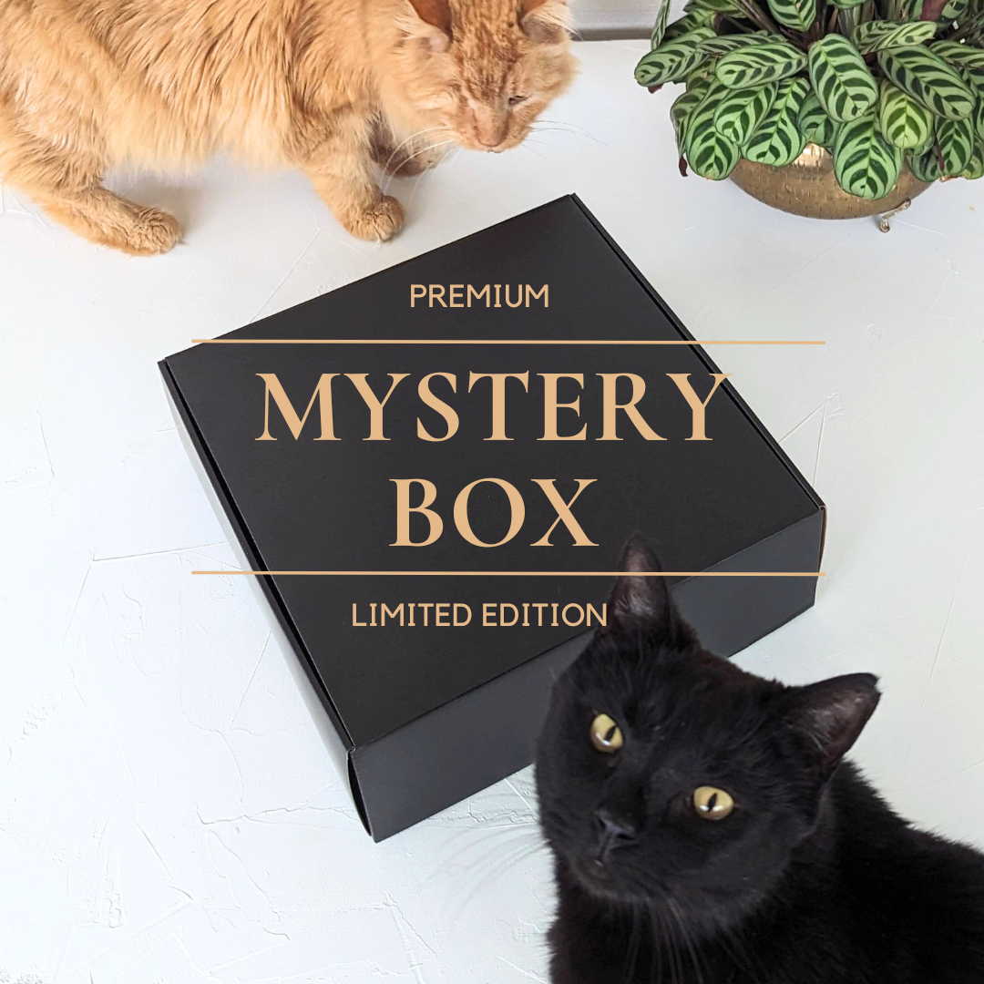 Premium Mystery Kit | For Cats