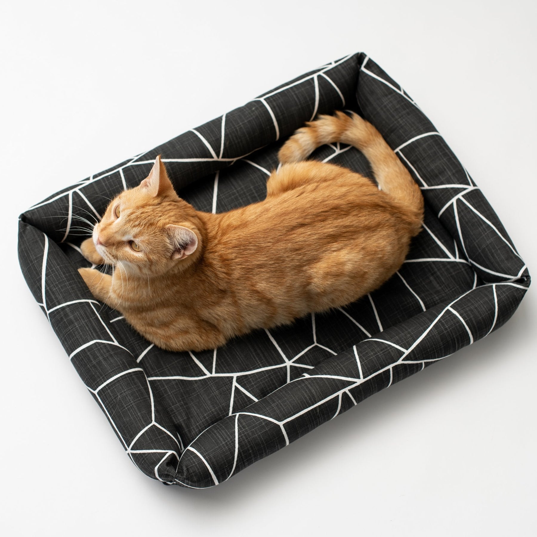 Cat cuddler outlet bed