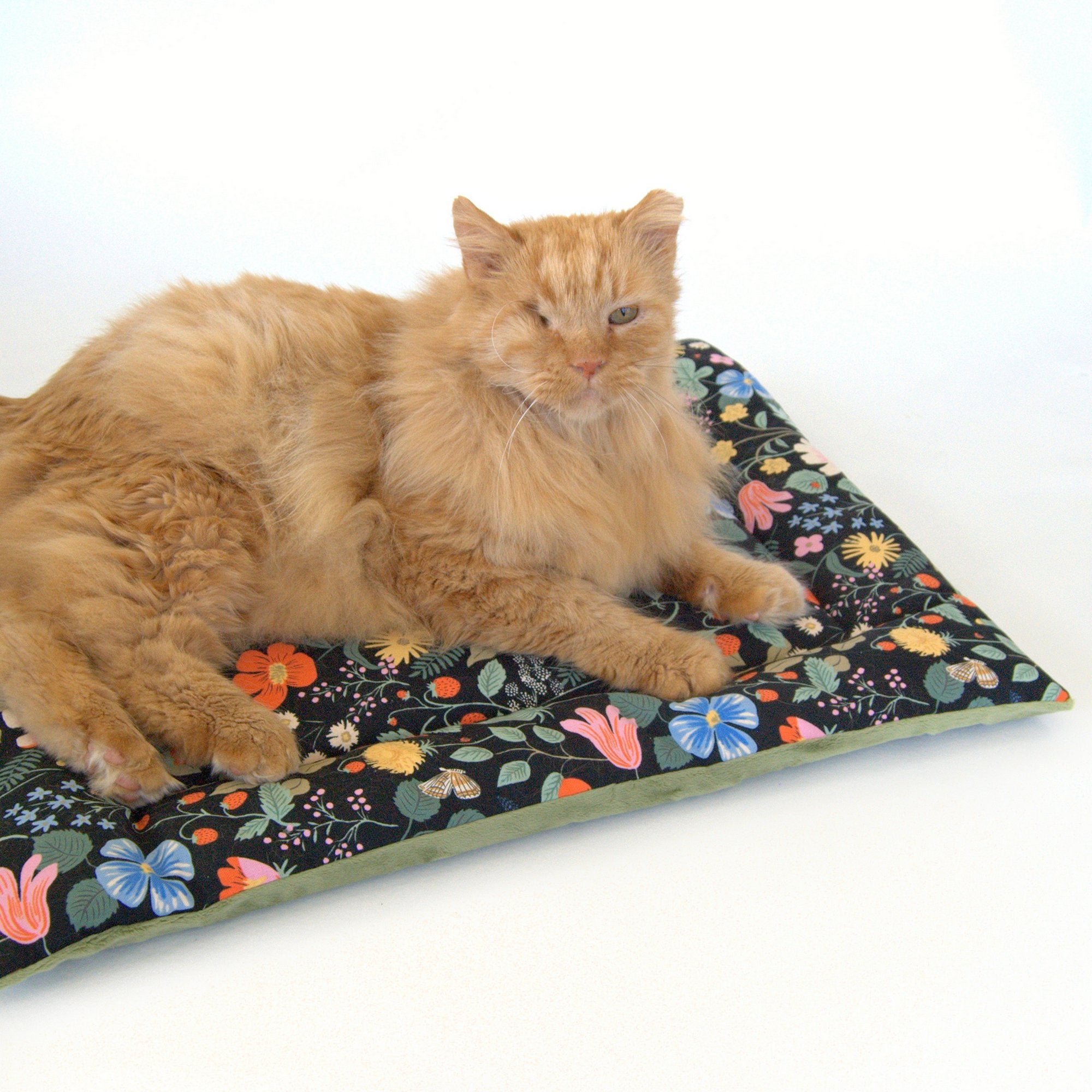 The Catnip Mat – Janery